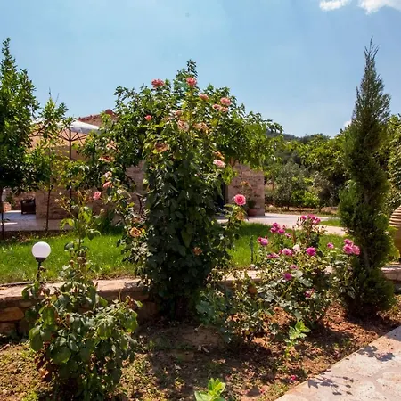 Laconian Collection 'apagkio' * Γύθειο